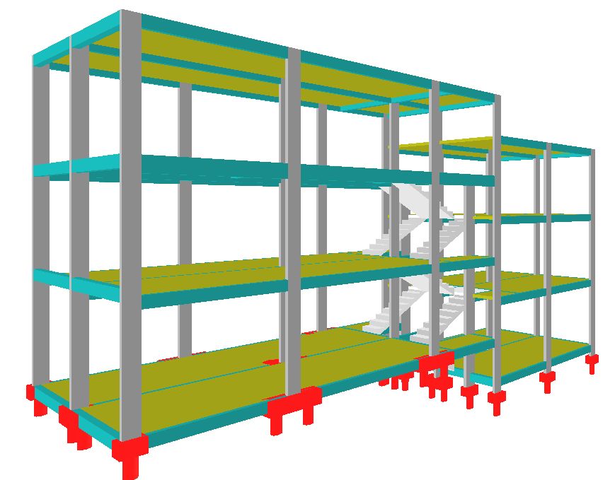 Frontal lateral direita.jpg